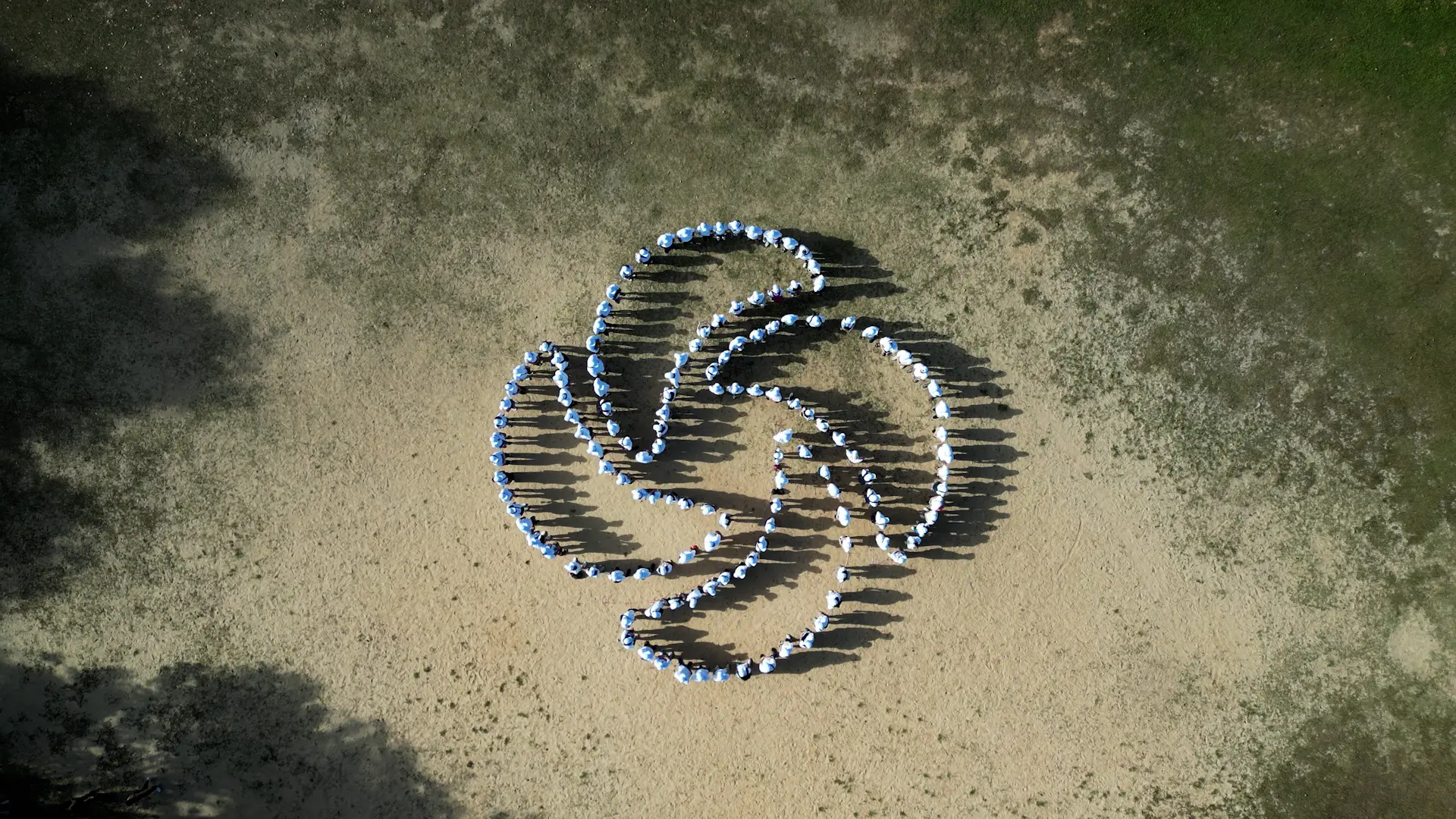aerial drone view of corporate team building logo formation