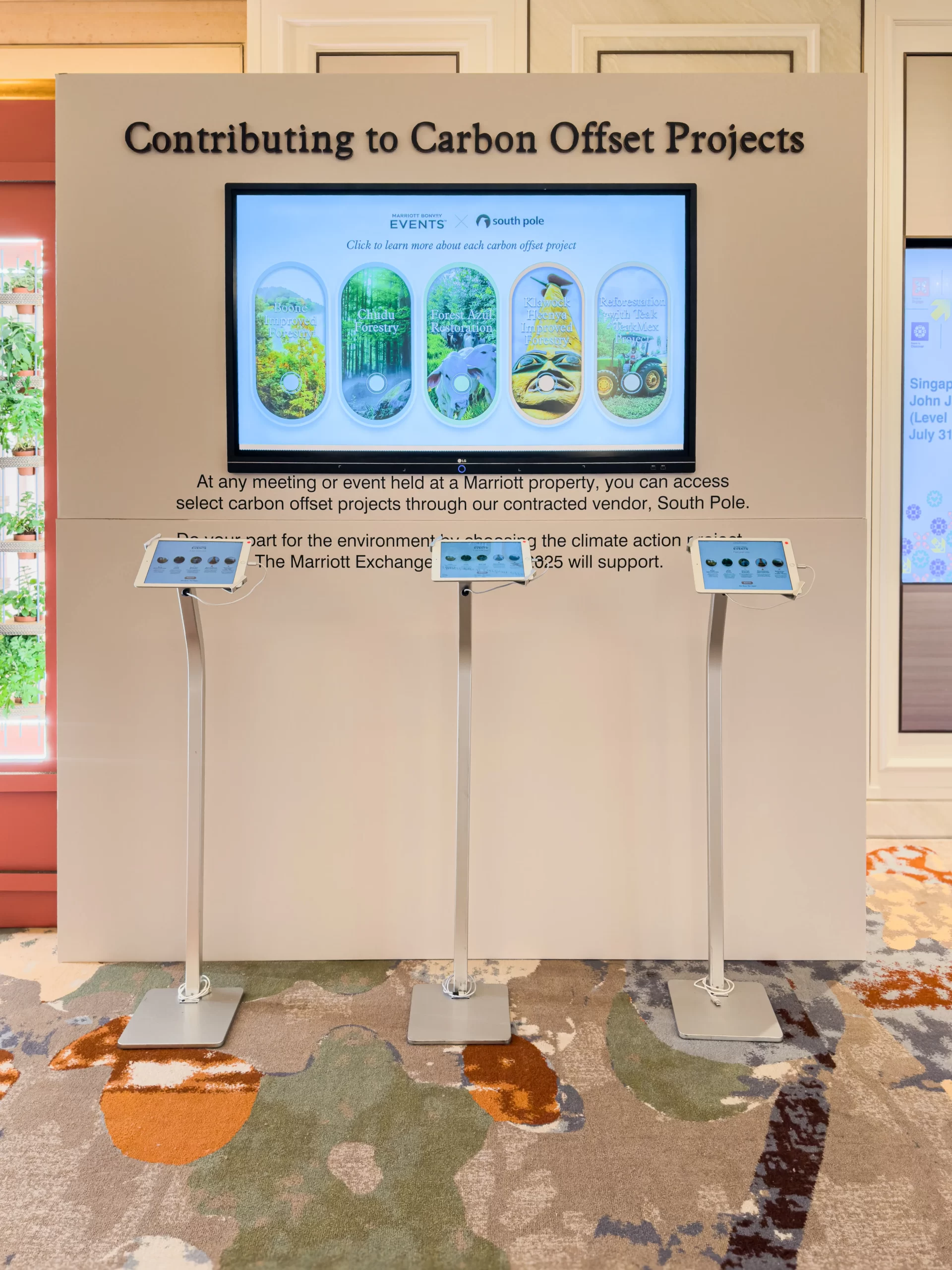 sustainable-corporate-event-management-carbon-offset-display