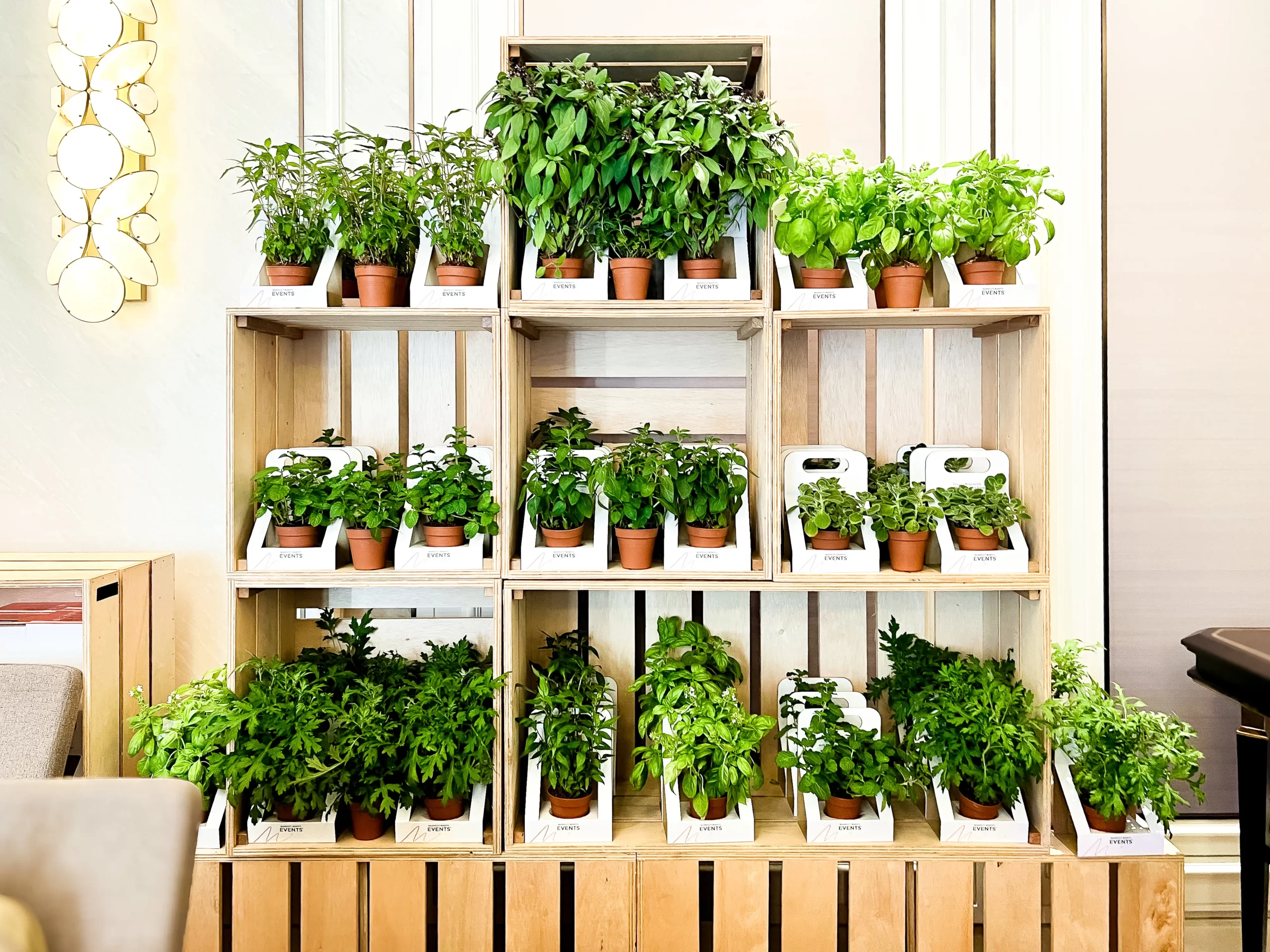 sustainable-corporate-event-management-green-initiatives